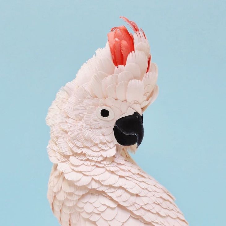 Brilliant Paper Sculptures of Birds & Butterflies by Diana Beltran Herrera Salmon crested cockatoo