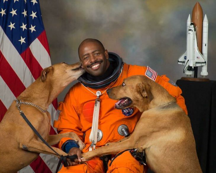 Hilarious Dog Photos That Will Have You in Splits Leland Melvin