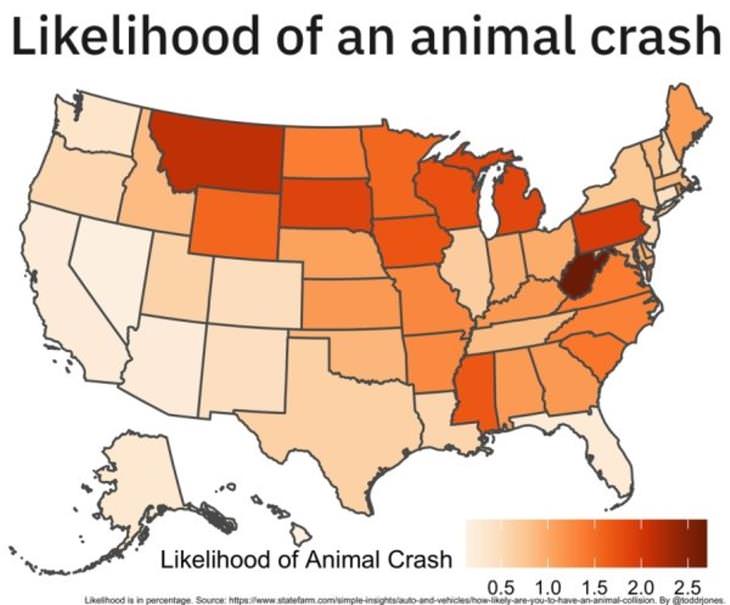 Charts animal crash map