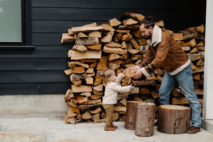 Things That Attract Snakes to Your Home woodpile