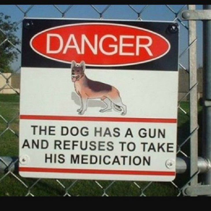 Funny Street Signs,dog 