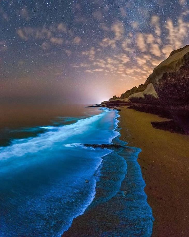 18 Photos Showcasing Earth Is Wonderful Bioluminescent Phytoplankton