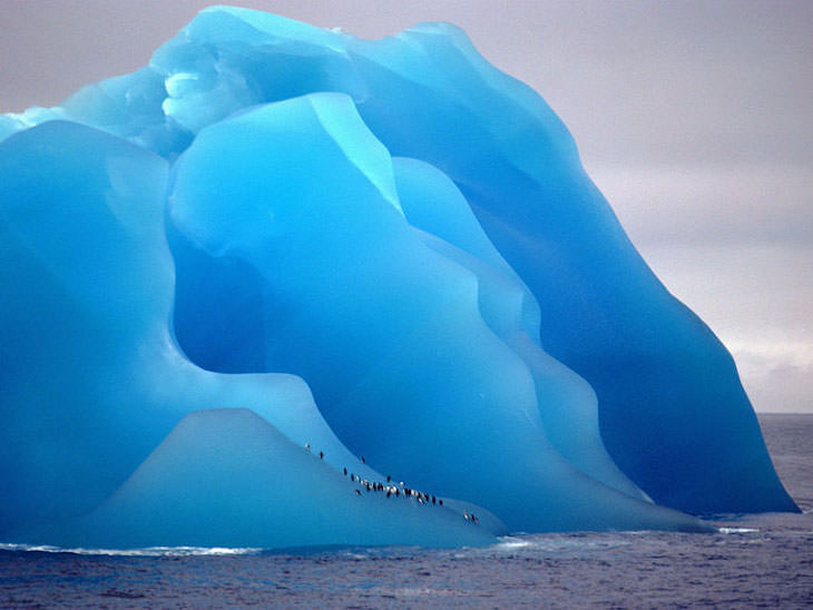 18 Photos Showcasing Earth Is Wonderful iceberg