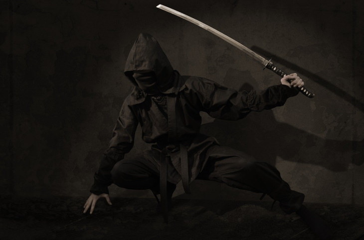 Historical Myths Ninja