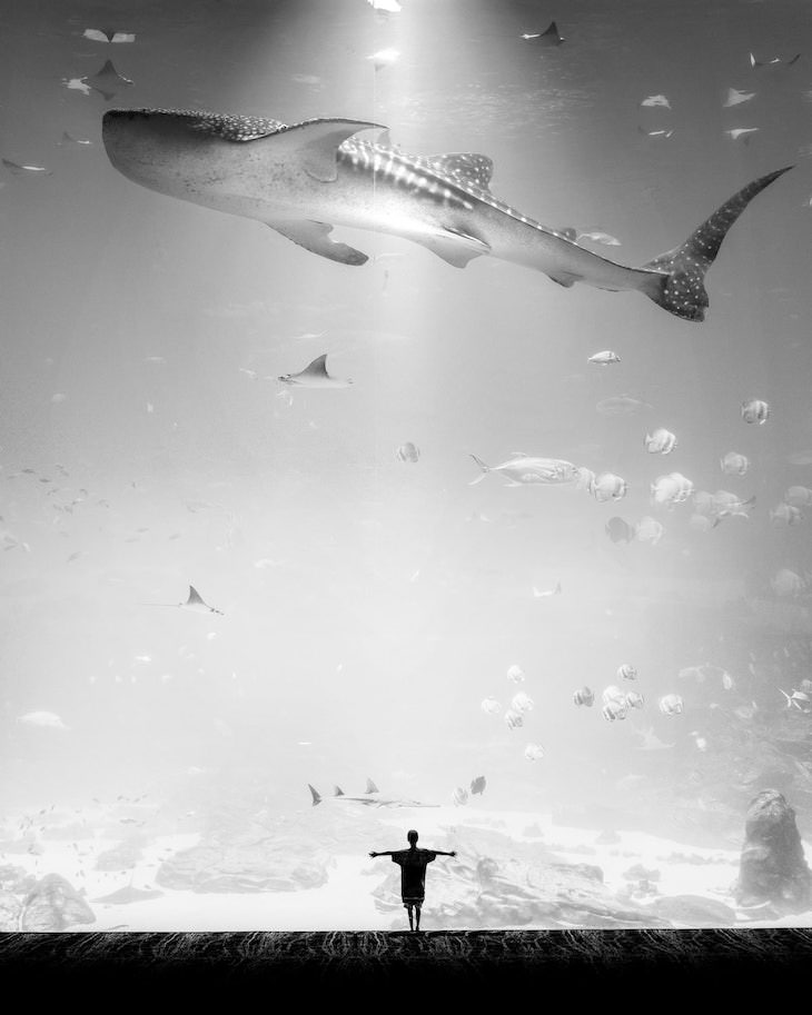 Evocative B&W Photography by Jason M. Peterson aquarium