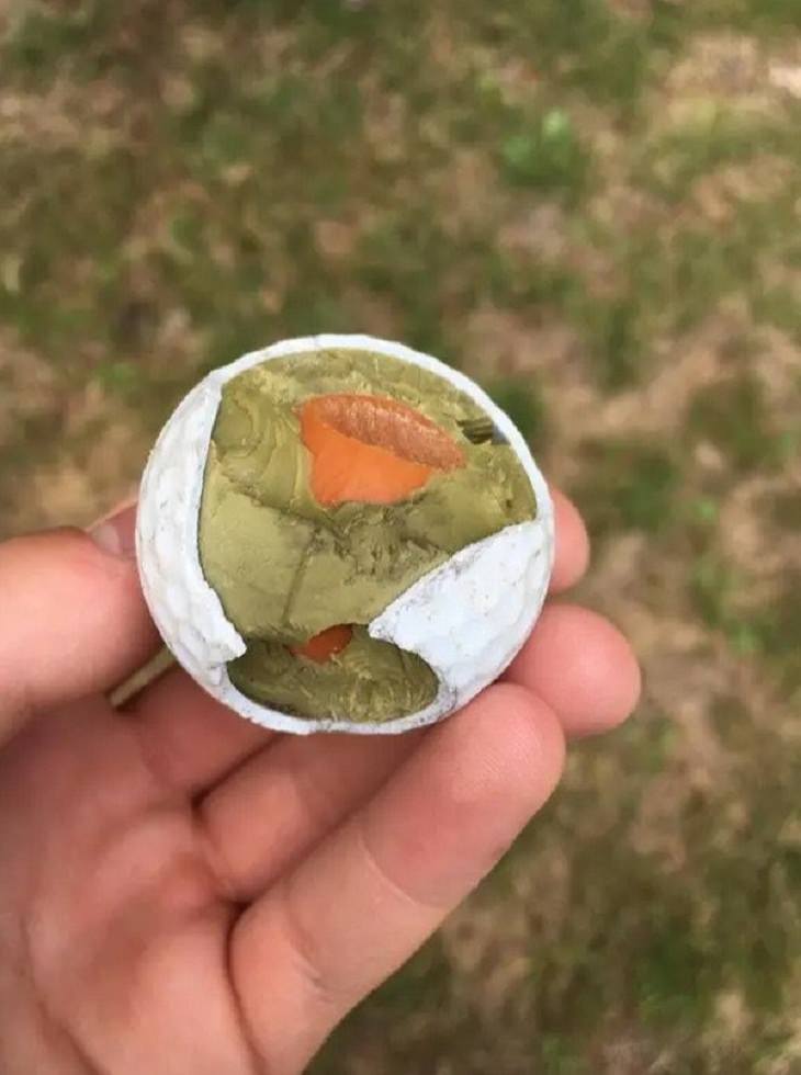 Everyday Items From the Inside, golf ball