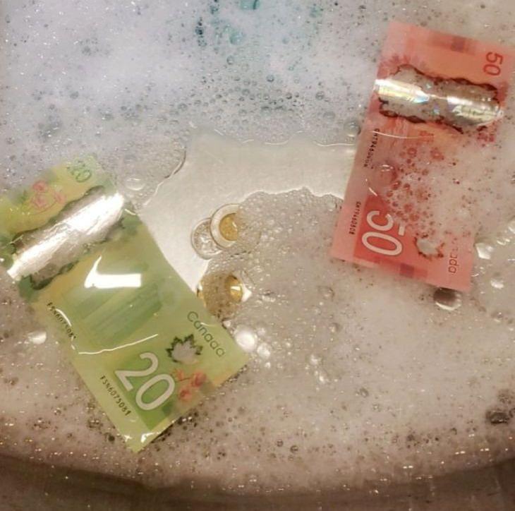 Life in Canada, plastic money