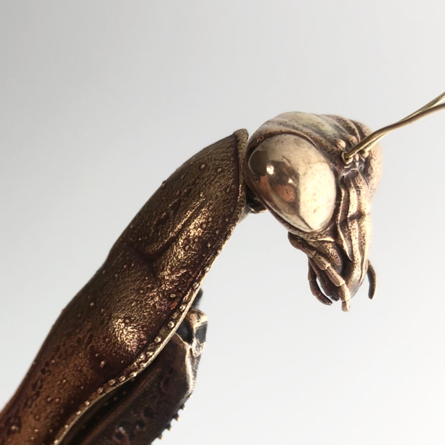 Metal Animals Sculptures by Dr. Allan Drummond Praying Mantis (Mantis religiosa)