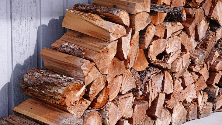 5 Ways You Attract Termites to Your Home firewood stack