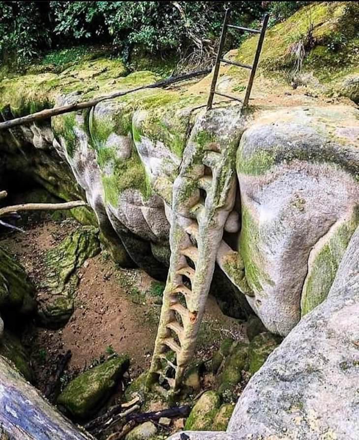 Eerily Handsome Abandoned Buildings  petrified iron ladder