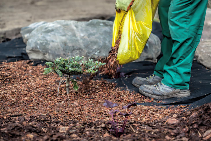 5 Ways You Attract Termites to Your Home mulch