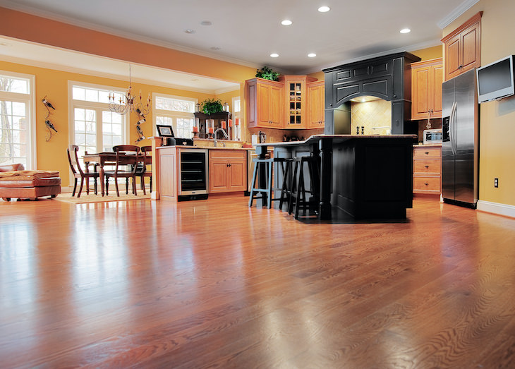 5 Ways You Attract Termites to Your Home hardwood floor