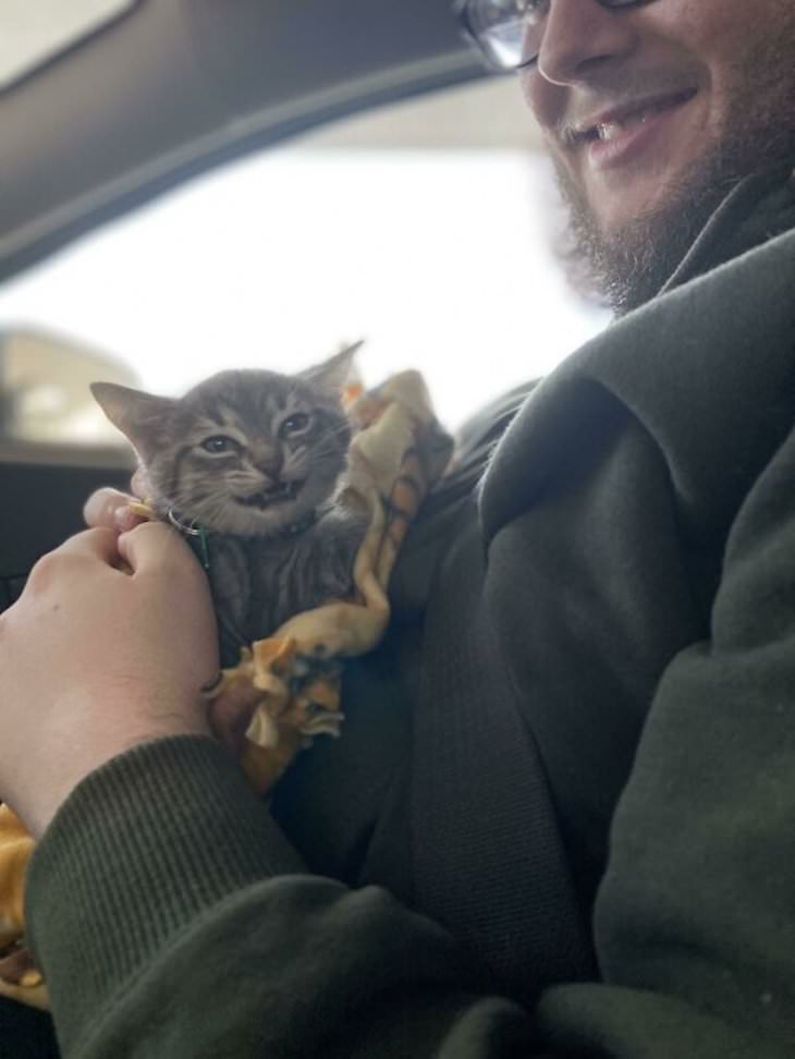 13 Heartwarming Stories of Brave and Kind People rescue kitten