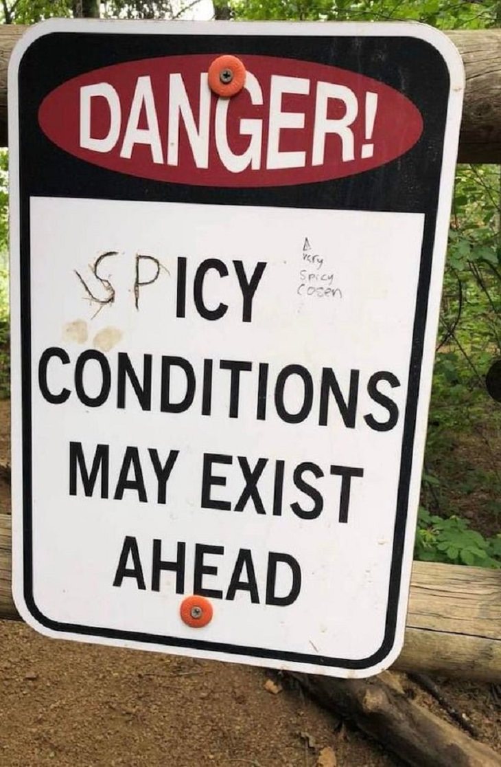 Funny Vandalism, spice