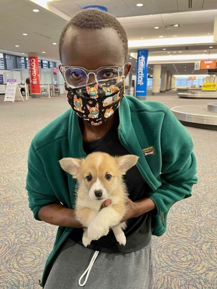 13 Heartwarming Stories of Brave and Kind People corgi