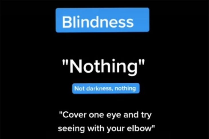 How People With Vision Limitations See the World Blindness