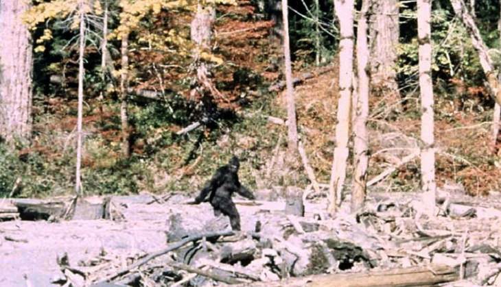Unsolved Mysteries,  Bigfoot Film