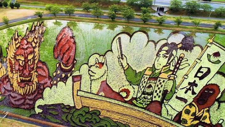 Fascinating Facts and Images of Japan rice paddy art