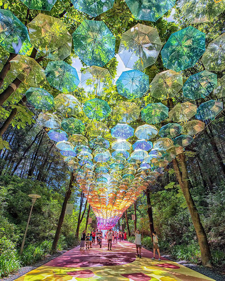 Fascinating Facts and Images of Japan walkway covered in semi transparent umbrellas