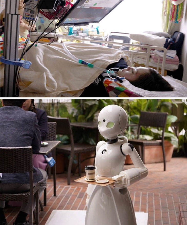 Fascinating Facts and Images of Japan robot servers operated by paralyzed people