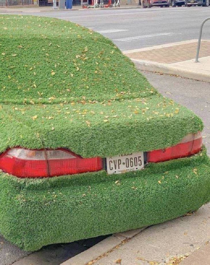 Weird Cars, nature-theme