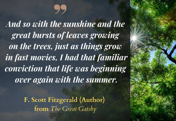 Quotes about Summertime, trees