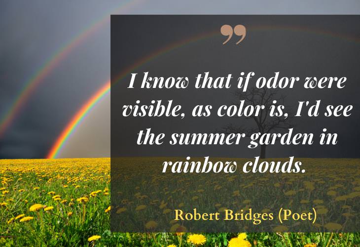 Quotes about Summertime, rainbow