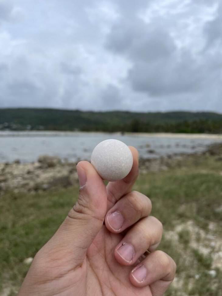 16 Small Treasures People Found by Chance round rock