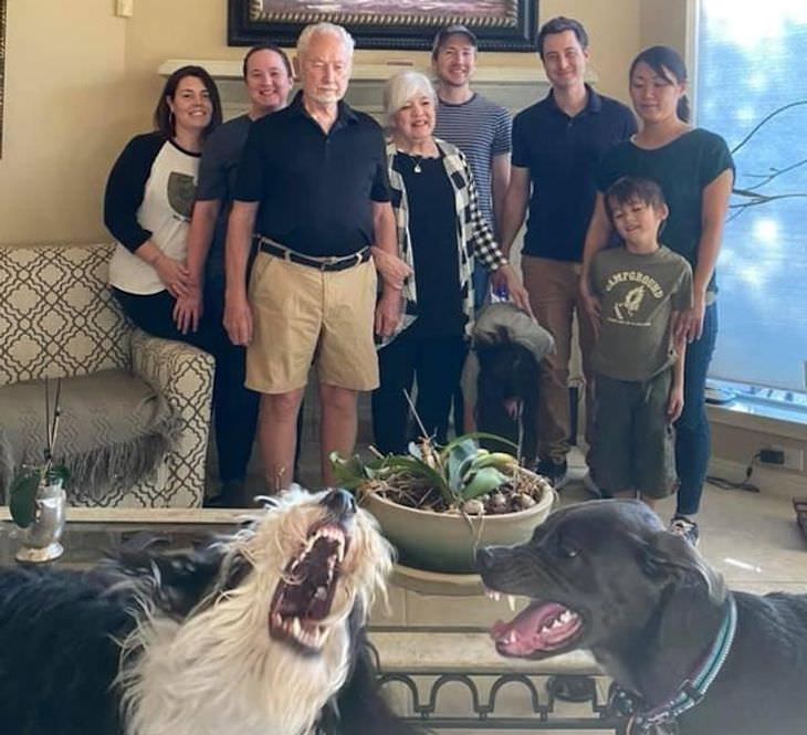 Pets Acting Over Dramatic family photo