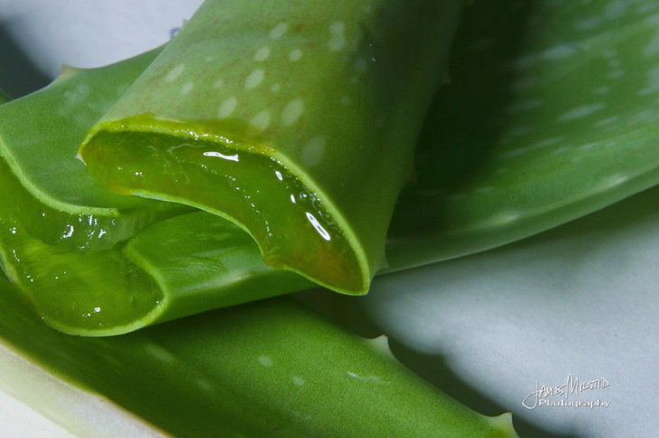 Homemade Shampoos aloe