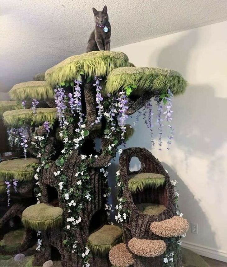 Spoiled Cats Who Live a Life of Luxury cat tree