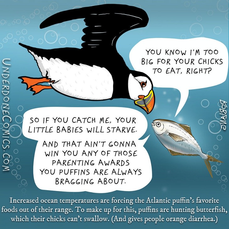 Funny Comics: Animal Dads, Puffin 