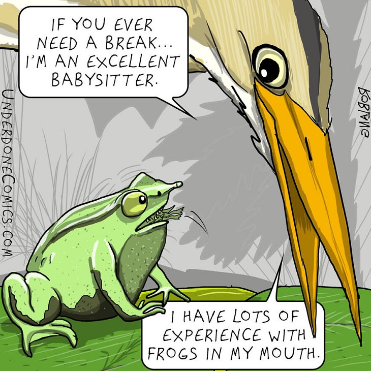 Funny Comics: Animal Dads, Darwin's frog 
