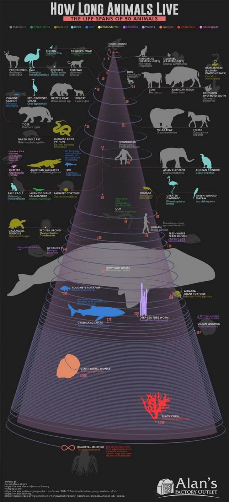 Charts and Maps