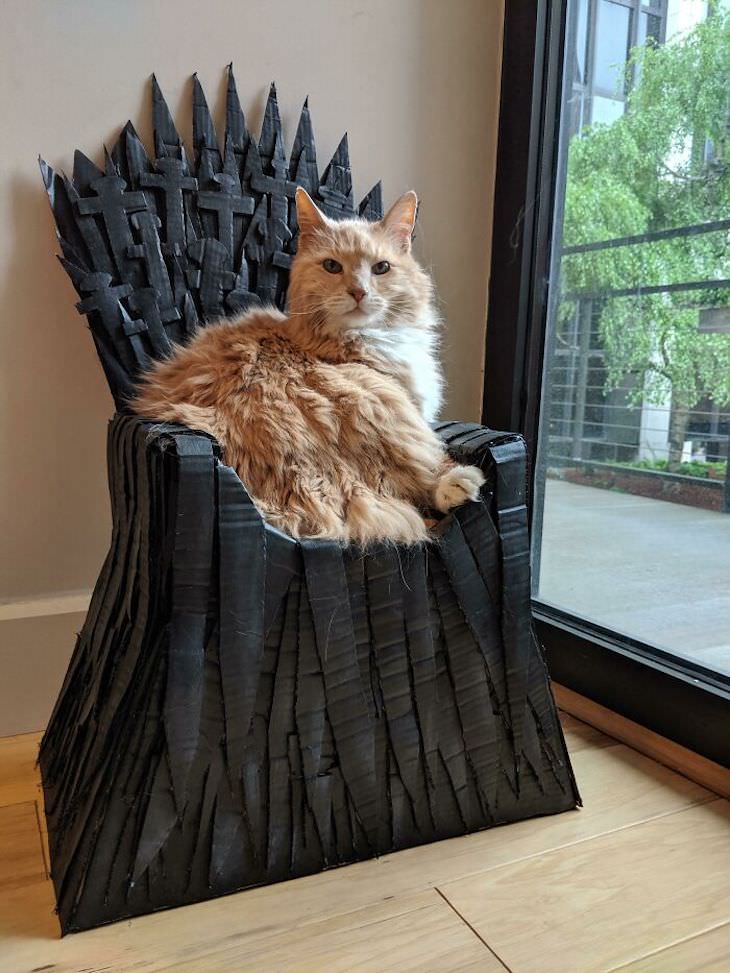 Spoiled Cats Who Live a Life of Luxury throne