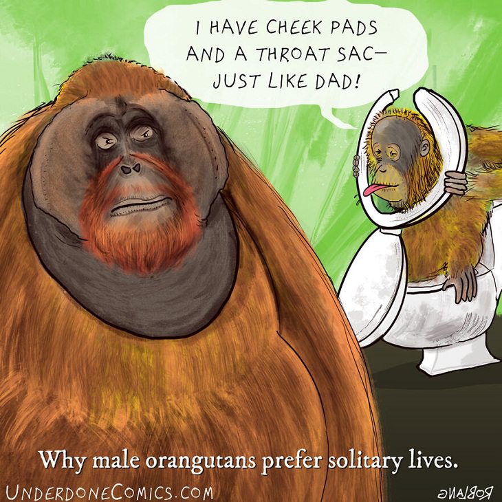 Funny Comics: Animal Dads, Orangutan 