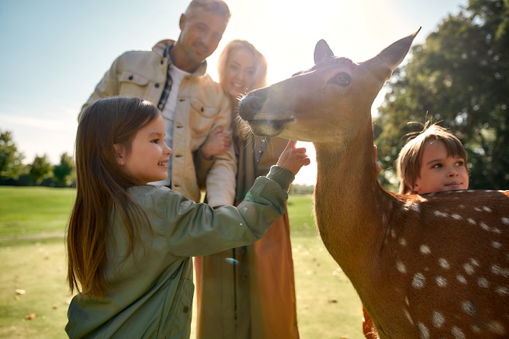 Benefits of Nature Therapy, * Animal-assisted therapy: 