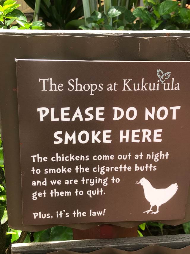 Funny Signs smoking chicken