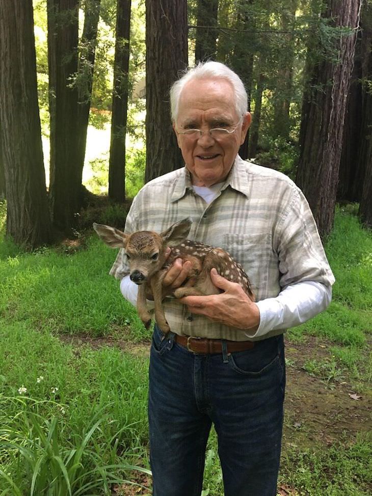 Wholesome Stories Proving Grandparents Are Awesome baby deer