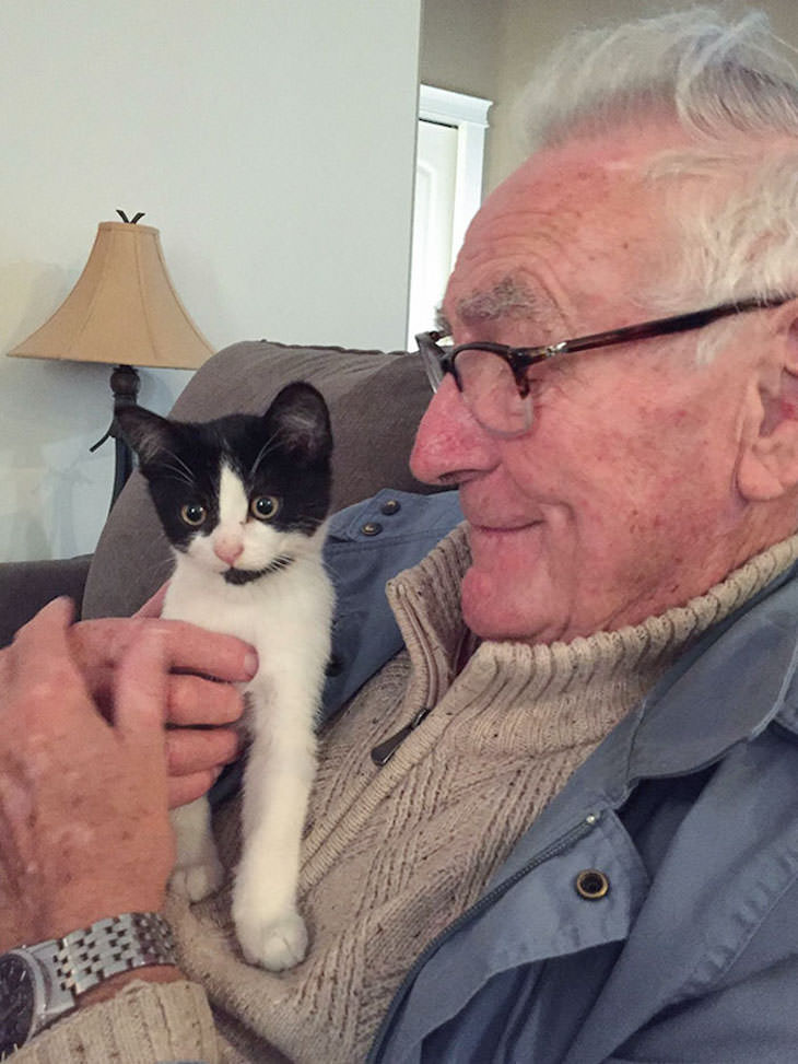 Wholesome Stories Proving Grandparents Are Awesome cat