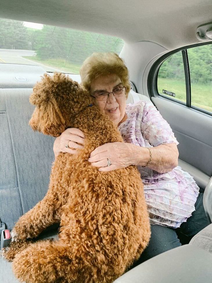 Wholesome Stories Proving Grandparents Are Awesome dog in the car