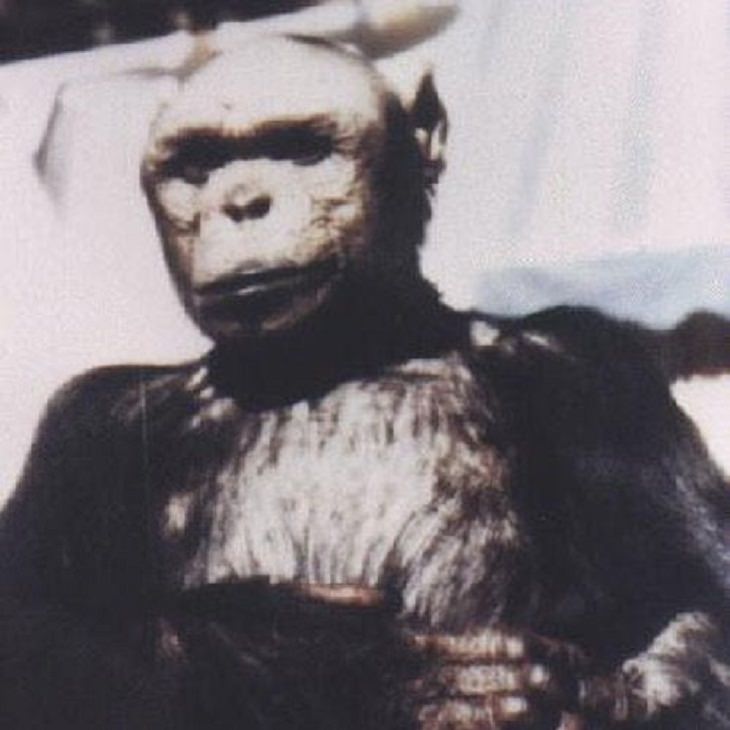 Humanzee, 