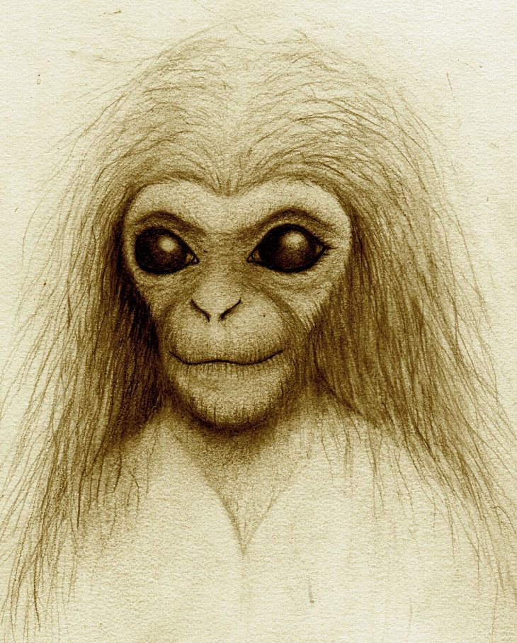 Humanzee, 