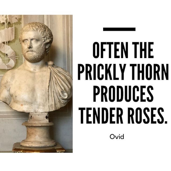 12 Timeless Quotes From the Roman Poet Ovid tender roses