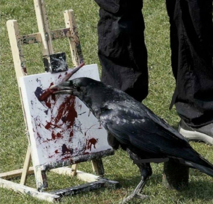 Funny and Wacky Animals, crow, painting