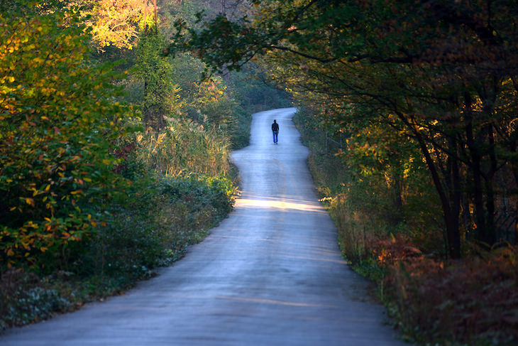 Creative Ways to Sneak More Walking Into Your Day scenic route