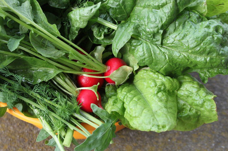 How to Reuse Food Scraps radish greens