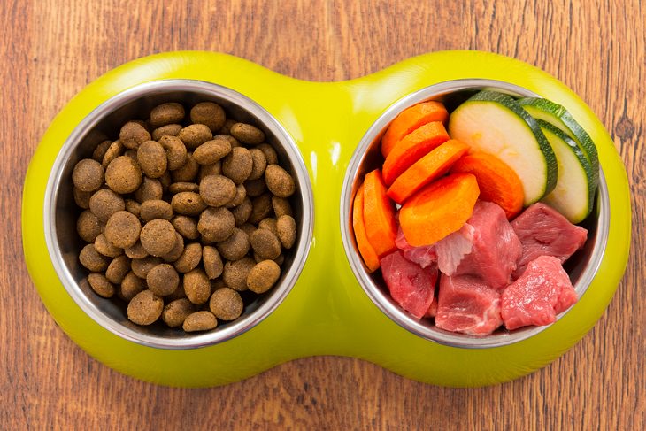 Money-Saving Tips for Pet Owners,  Generic Pet Food