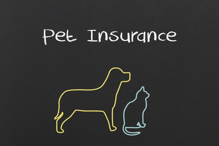 Money-Saving Tips for Pet Owners, Pet Insurance