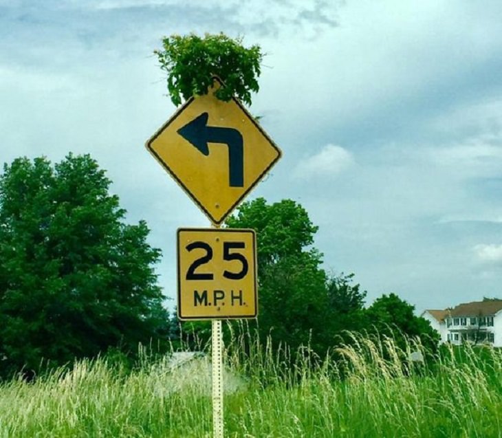 Nature Pics, road signs 